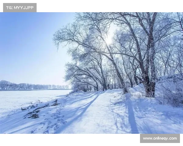 冬日湖畔的静谧诗意与冰雪交织的自然美景推荐 冬日湖畔的静谧诗意与冰雪交织的自然美景推荐