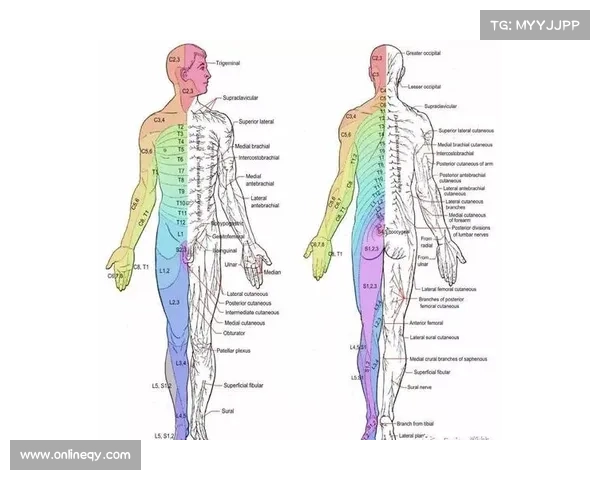 全面解析如何准确了解坎贝尔所司位置的多维观察实用方法指南