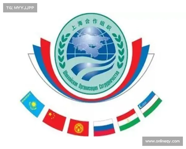 探秘法甲冠军标志独特设计背后象征意义与历史文化渊源解析全面篇